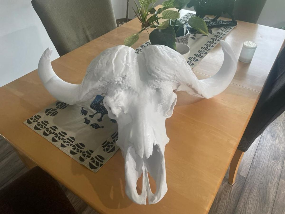 Cape buffalo 3D printed replica