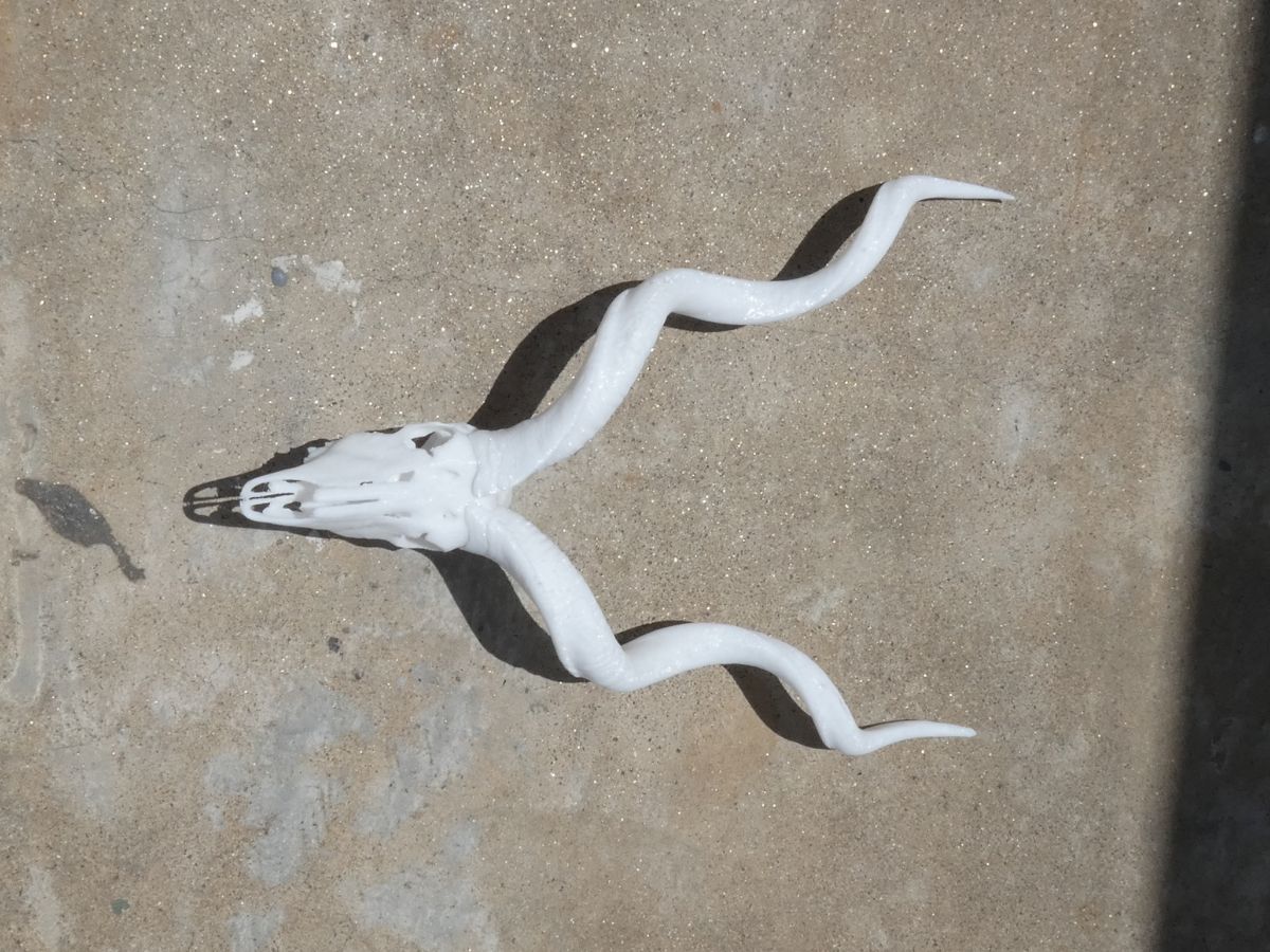 Kudu replica at 25% scale
