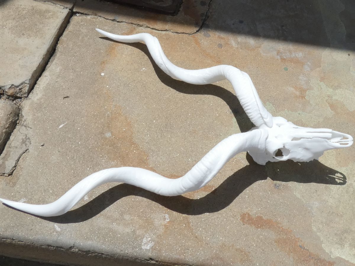 Kudu replica at 50% scale