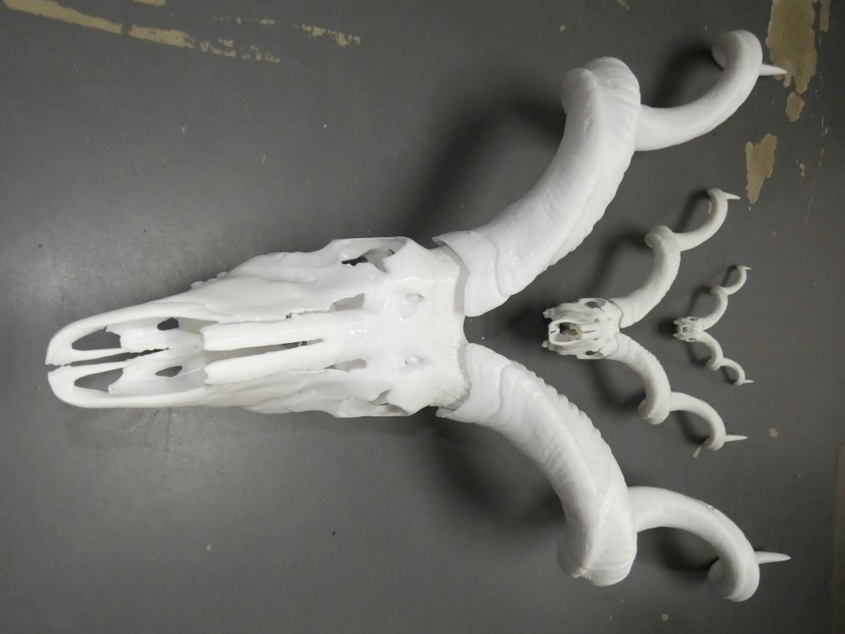 Kudu replicas at 25%, 50% and 100% scale