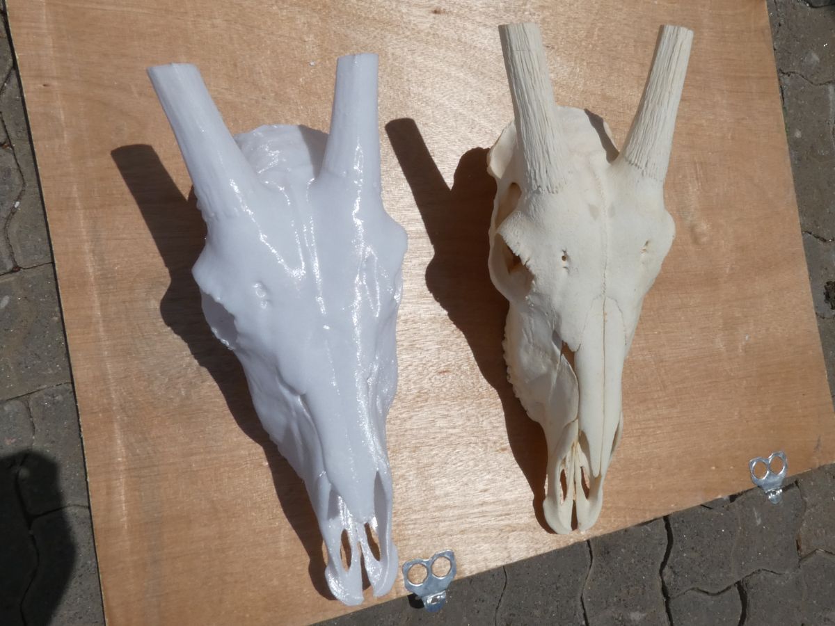 Oryx full-size replica without horns
