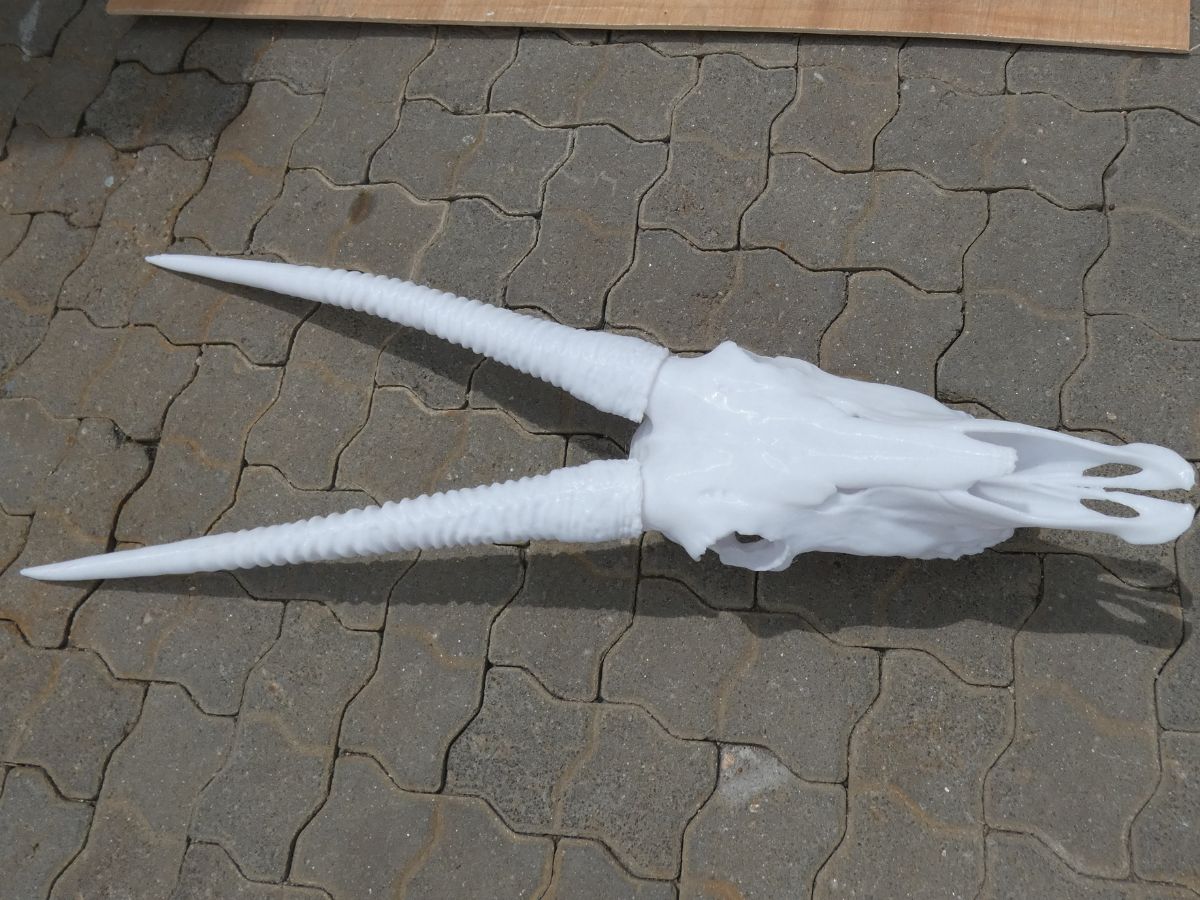Oryx replica at 100% scale
