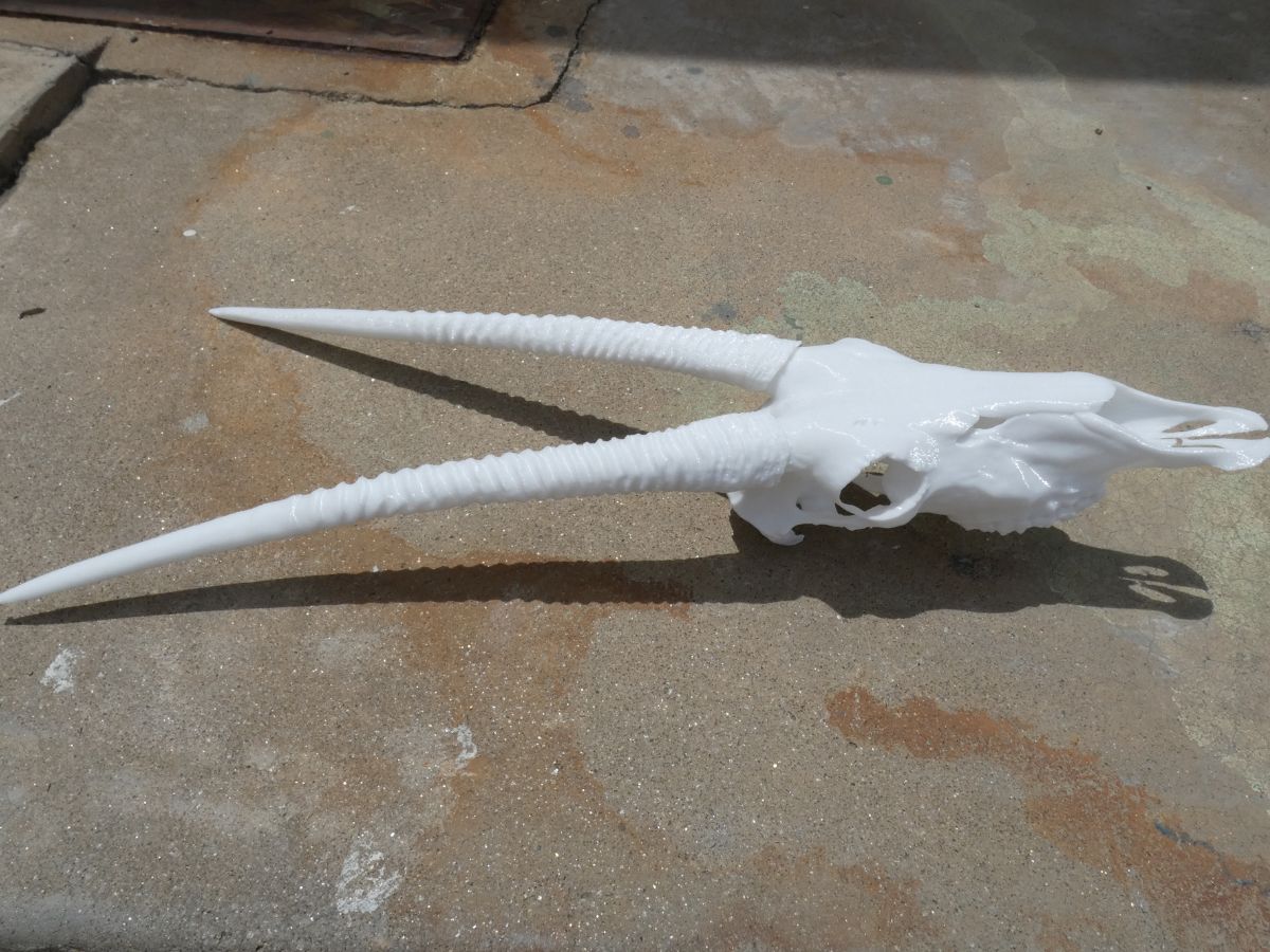 Oryx replica at 50% scale