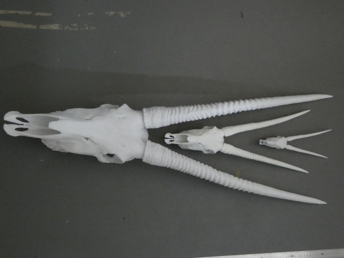 Oryx replicas at three scales